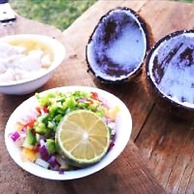 Safe Landing Eco Lodge