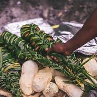 Safe Landing Eco Lodge