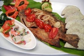 Safe Landing Eco Lodge