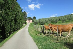 Trebbiolo