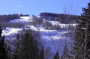 Condo 100 Yards to Gondola One by RedAwning