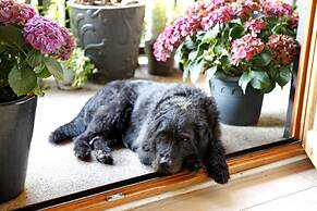 Ferienresort am Mattenweg