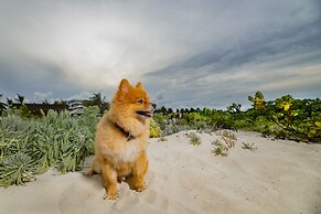 Atelier Playa Mujeres - Adults Only - All Inclusive