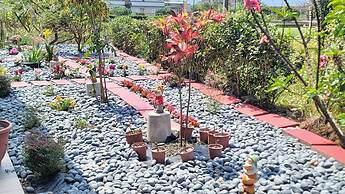 Super Cheap Homestay