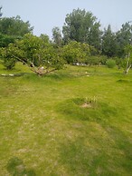 Solar food&drink campsite