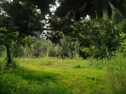 Solar food&drink campsite