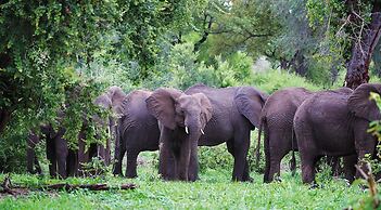 Matetsi Victoria Falls