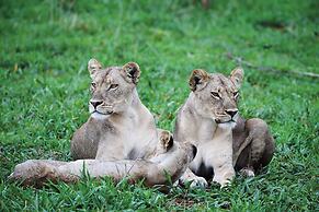 Matetsi Victoria Falls