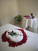 Tropical Stay Accommodations