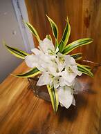 Tropical Stay Accommodations