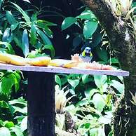 Pousada Recanto dos Tangaras