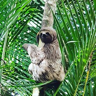 Pousada Recanto dos Tangaras