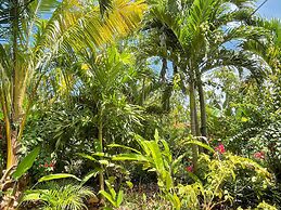The Judy House Cottages and Rooms