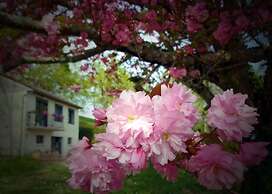Flo & Marc les hôtes de Chouzy-sur-Cisse