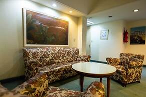 Palace Hotel Mendoza