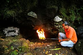 Recreo Verde Hot Springs & Spa