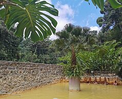 Recreo Verde Hot Springs & Spa