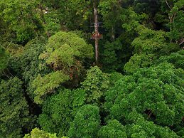 Recreo Verde Hot Springs & Spa