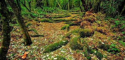 Bay City Motor Lodge