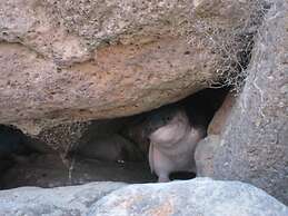 Bay City Motor Lodge