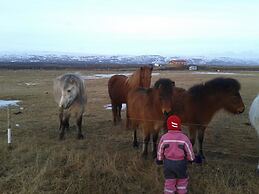 Stormur Cottages