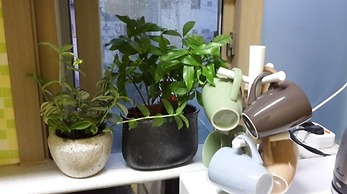 Dana Haru Guesthouse