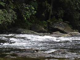 Yoho Sinharaja Birders Lodge