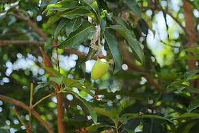 Sigiri Mango Garden Resort