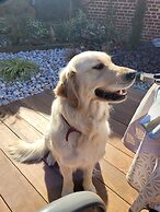 Le Paddock du Val de Lys