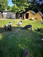 Le Paddock du Val de Lys