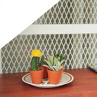 LITA Bangkok - Hostel