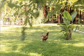 Layla Gocek - Adults Only