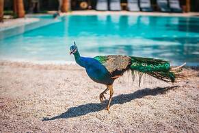 Layla Gocek - Adults Only