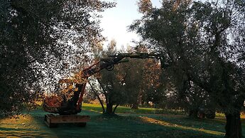 Traldi Resort