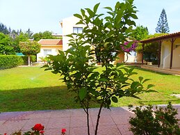 Light & Blue Gardens Apartments