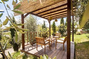 Agriturismo Podere Camollia