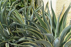 Hotel Casamart Rodadero