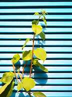 Hotel Casamart Rodadero