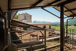 Fattoria Didattica La Collina Incantata