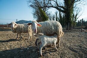 Fattoria Didattica La Collina Incantata
