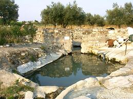 Forum Cassii