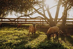 Rittergut Positz GmbH