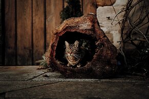 Rittergut Positz GmbH