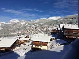 Central Hostel Châtel