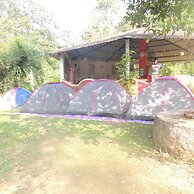 Jungle Nest Homestay