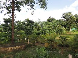 Jungle Nest Homestay