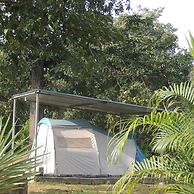 Jungle Nest Homestay