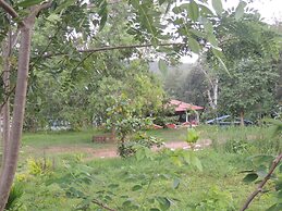 Jungle Nest Homestay