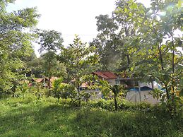 Jungle Nest Homestay