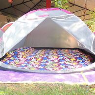 Jungle Nest Homestay